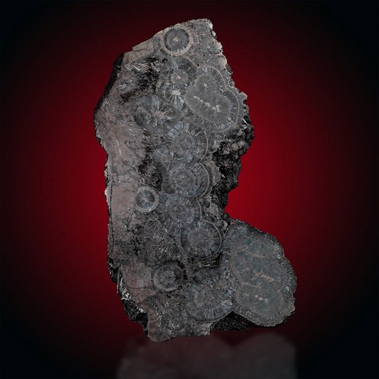 Rockbridgeite-Nitzelbuch Mine | Nitzlbuch | Auerbach | Upper Palatinate | Bavaria | Germany